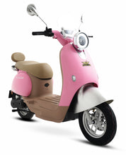 Load image into Gallery viewer, MS Jaguar Miso