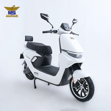 Load image into Gallery viewer, MS Jaguar M1