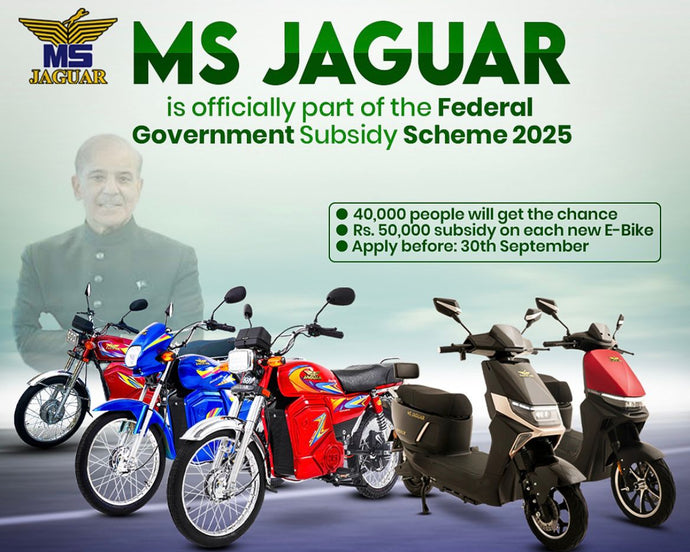 MS Jaguar’s Role in the PAVE Scheme