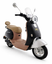 Load image into Gallery viewer, MS Jaguar Miso
