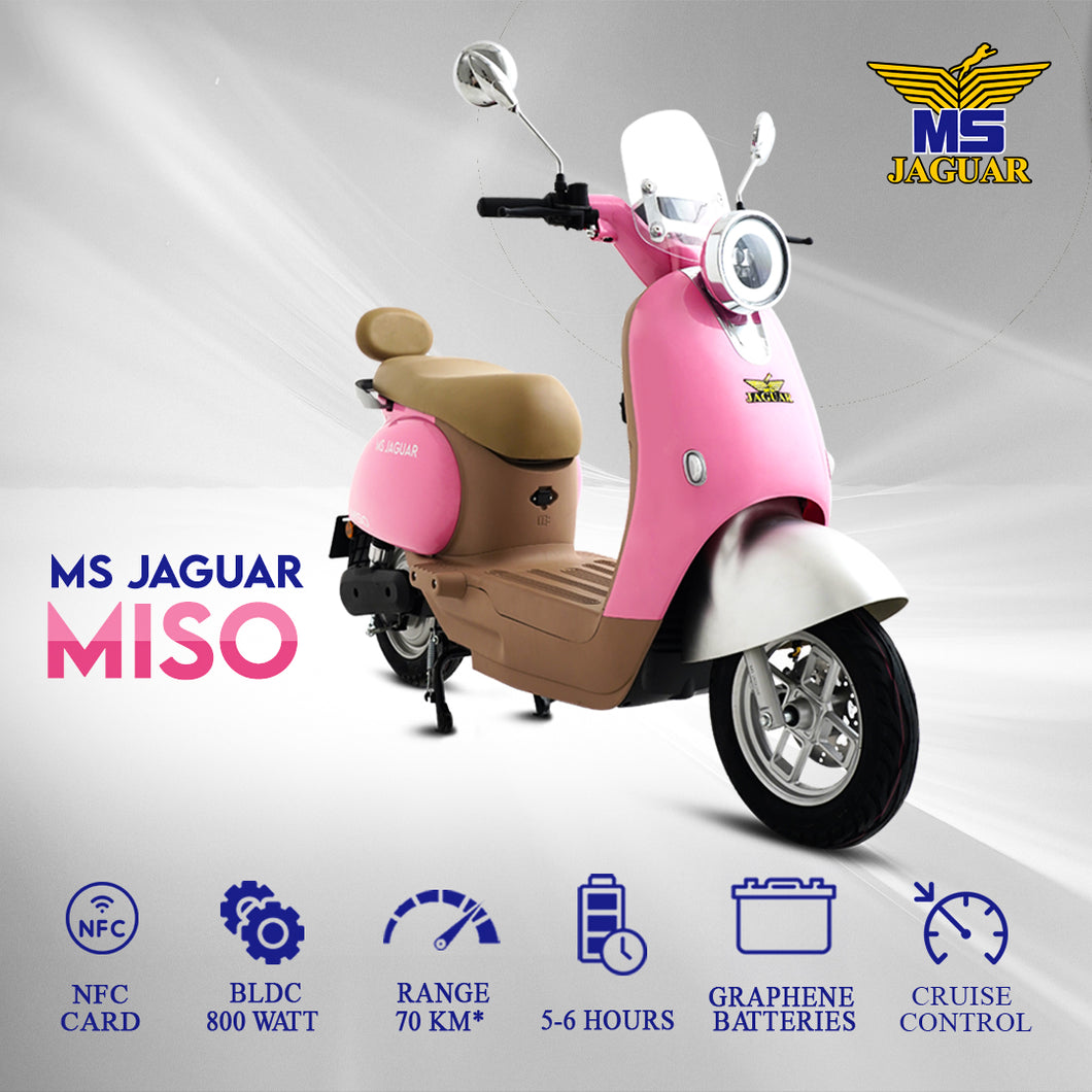 MS Jaguar Miso