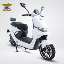 Load image into Gallery viewer, MS Jaguar M1
