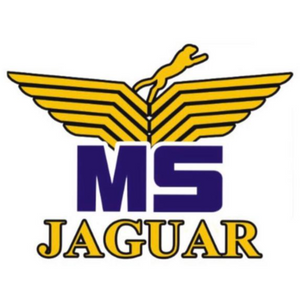msjaguarmotorcycles.com